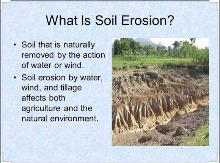 Explain soil erosion with diagram and label? | EduRev Class 7 Question
