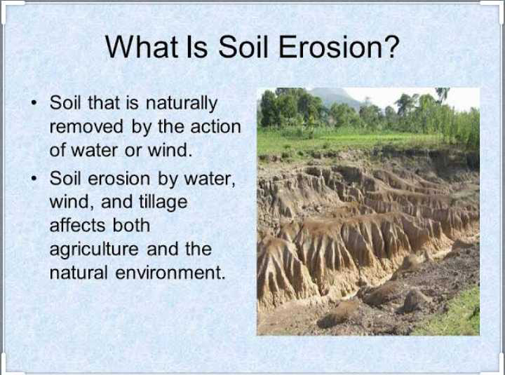 What Is Soil Erosion Explain The Major Types Of Soil Erosion Prevailing In India