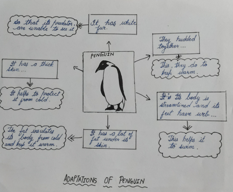 Give adaptation of penguin? | EduRev Class 7 Question