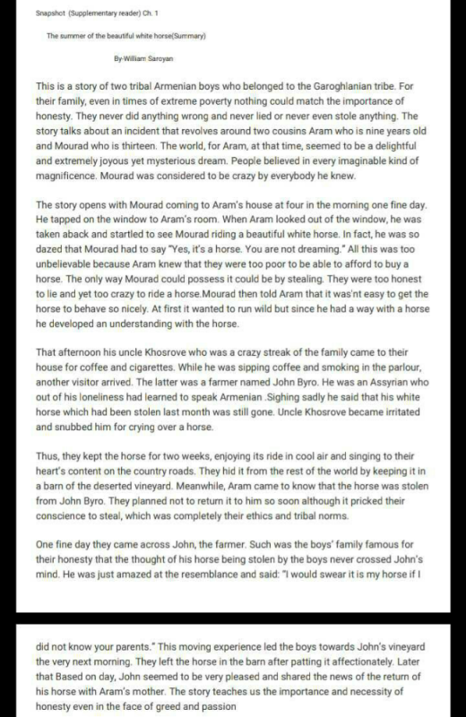 Another Easy Summary Please Related Chapter 1 The Summer Of The Beautiful White Horse Summary Snapshot Class 11 English Edurev Commerce Question