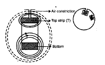 Chapter - Poly Phase Induction Machine(Part - 1) - Notes of Electrical Engineering Electrical Engineering (EE) Notes | EduRev