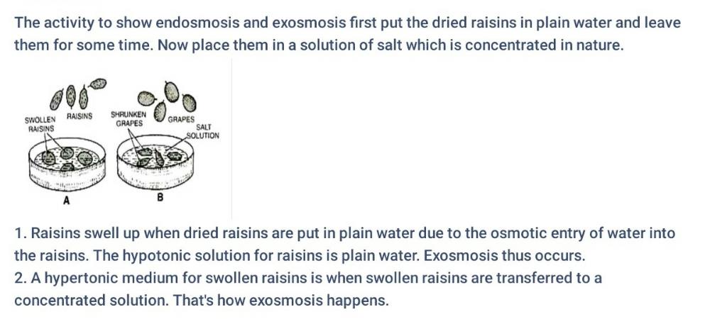 design an experiment to show endosmosis and exosmosis