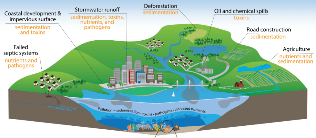 Aquatic Ecosystem Part - 4(Practice) UPSC Notes | EduRev