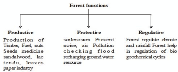 Importance of Managing Natural Resources - Notes - Class 10