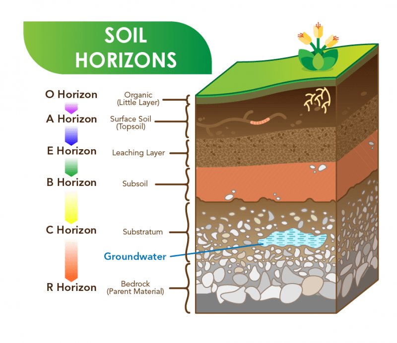 Natural Resources - Practice Class 9 Notes | EduRev