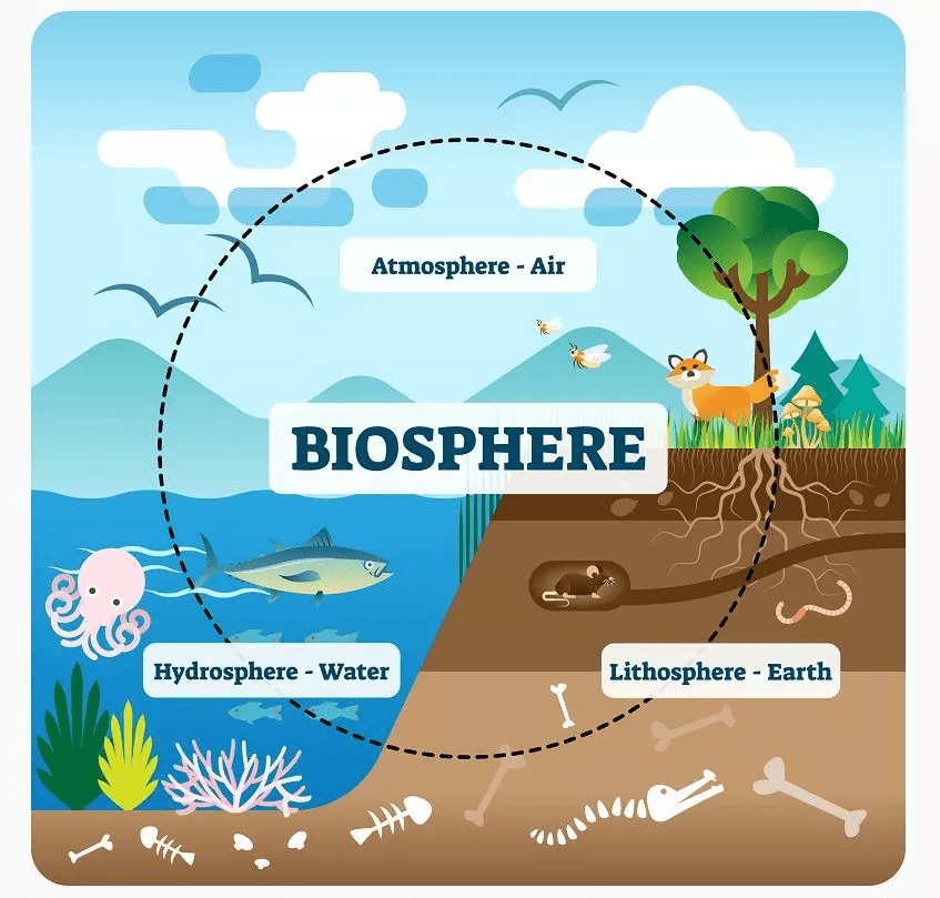Natural Resources - Practice Class 9 Notes | EduRev