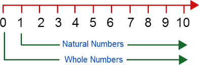 Properties of Whole Numbers Class 6 Notes | EduRev