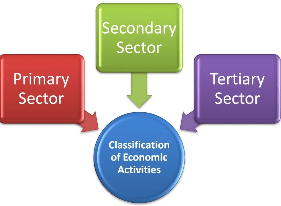 chapter-notes-sectors-of-the-indian-economy-class-10-notes-edurev