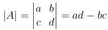 Determinants - Introduction JEE Notes | EduRev