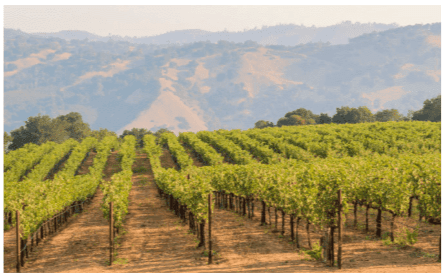 Dry Farming