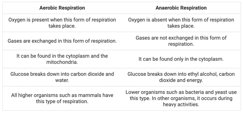 Respiration in Humans and Plants Class 10 Notes | EduRev
