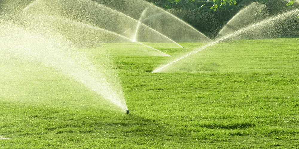 Chapter Notes - Crop Production and Management Class 8 Notes | EduRev