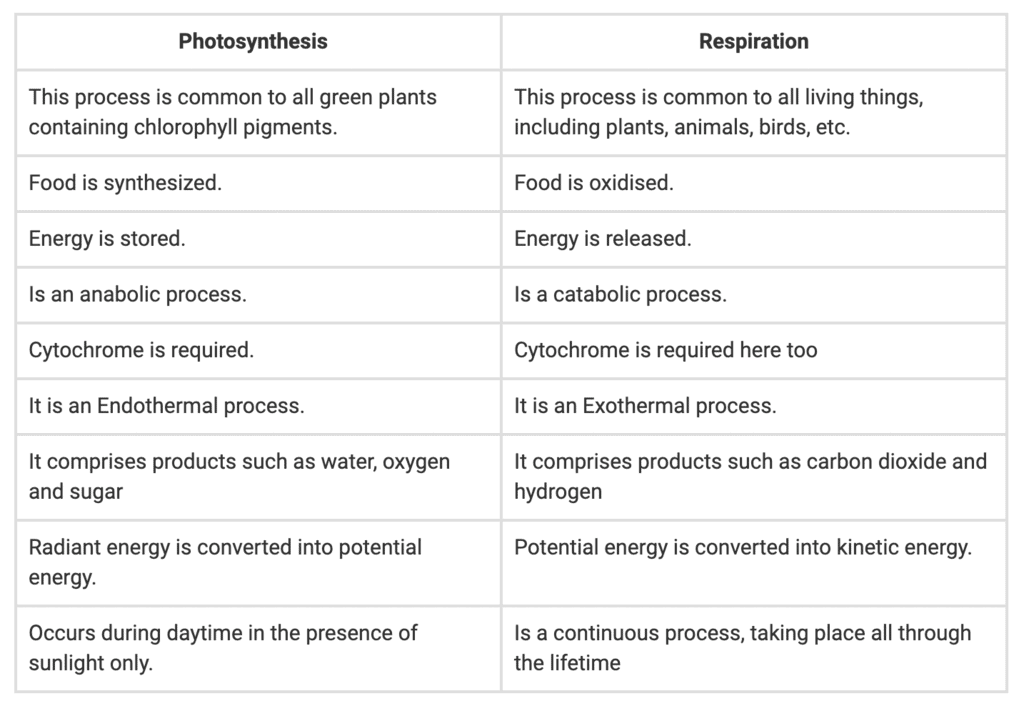 Respiration in Humans and Plants Class 10 Notes | EduRev