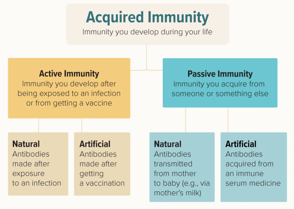 Human Health, Diseases & Immunity NEET Notes | EduRev