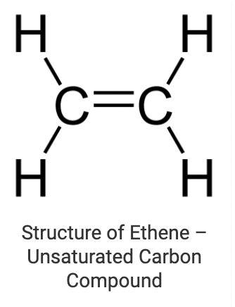 Overview of Carbon and Covalent Bonding in Carbon Class 10 Notes | EduRev