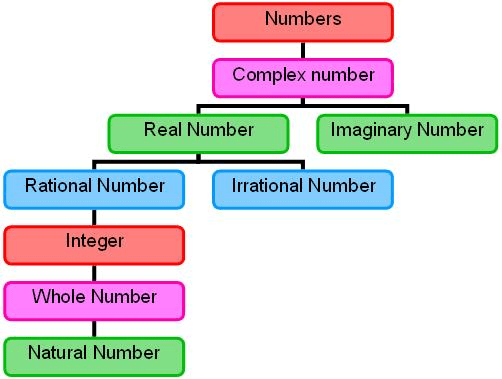 Properties of Whole Numbers Class 6 Notes | EduRev