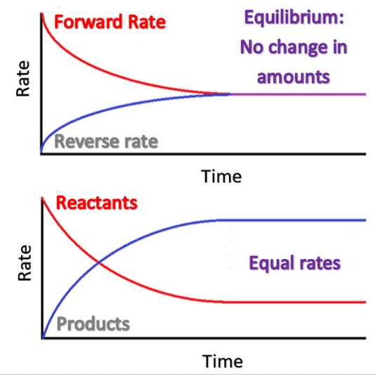 Chemical Equilibrium Introduction and Irreversible and Reversible