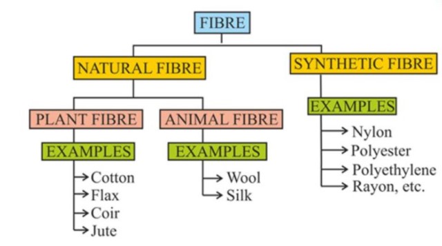 Short Notes - Synthetic Fibres and Plastics Class 8 Notes | EduRev