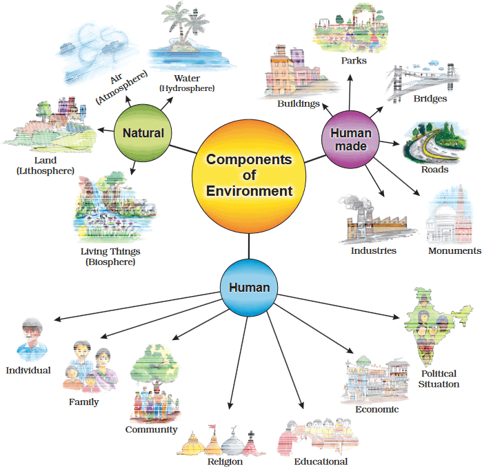 lesson-plan-on-environment