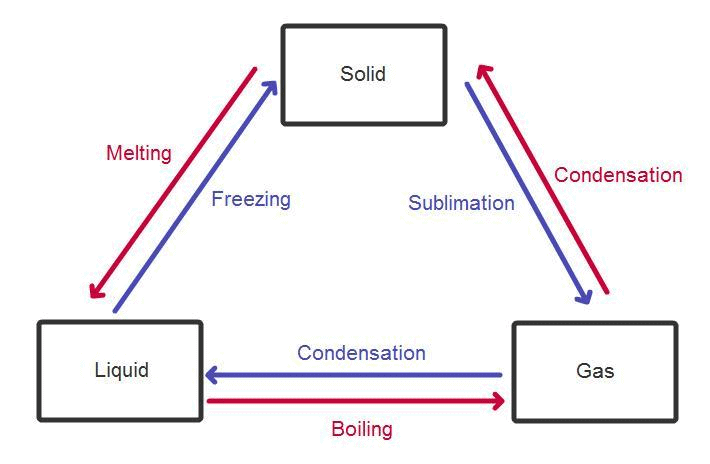 Phase Equilibrium Introduction Part 1 Chemistry Notes Edurev Hot Sex Picture