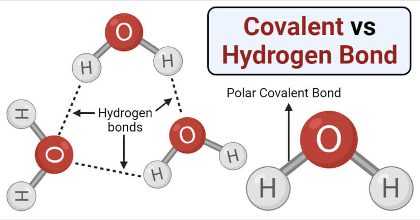 Chemical Bonding - Chemical Bonding Chemistry Notes | EduRev