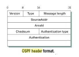 Link State (OSPF) - Notes | Study Computer Networks - Computer Science Engineering (CSE)