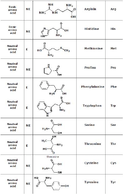 Detailed Chapter Notes - Biomolecules and Polymers, Class 12, Chemistry ...