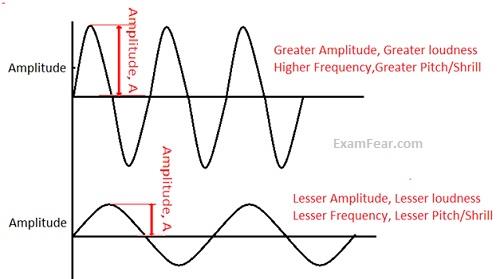 pitch-amplitude-loudness-intensity-class-9-notes-edurev